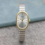 Silver & Golden Watch
